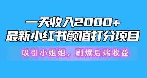 一天收入2000+，最新小红书颜值打分项目，吸引小姐姐，刷爆后端收益-云资源库