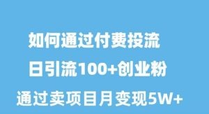 如何通过付费投流日引流100+创业粉月变现5W+-云资源库