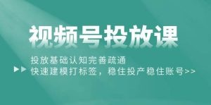 视频号投放课：投放基础认知完善疏通，快速建模打标签，稳住投产稳住账号-云资源库