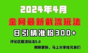 最新评论区截留玩法，日引流突破300+，颠覆以往垃圾玩法-云资源库