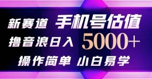 抖音不出境直播 手机号估值 最新撸音浪，日入5000+-云资源库