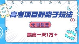 2024高考项目野路子玩法，无限裂变，最高一天1W＋！-云资源库