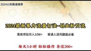 2024年最新暴力流量打法，每日导入300+，靠卖项目月入10W+-云资源库