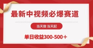 最新中视频必爆赛道，当天做当天起，并且全部原创不会违规-云资源库