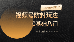 视频号升级防封玩法，零基础入门，适合普通小白的全新赛道-云资源库