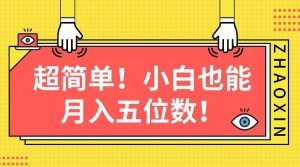 超简单图文项目！小白也能月入五位数-云资源库