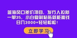 蓝海风口差价项目，发行人拉新，一单35，小白复制粘贴就能搞钱！日入3000+轻轻松松-云资源库