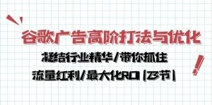 谷歌广告高阶打法与优化，凝结行业精华/带你抓住流量红利/最大化ROI(23节)-云资源库