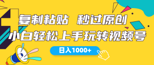 视频号新玩法 小白可上手 日入1000+-云资源库