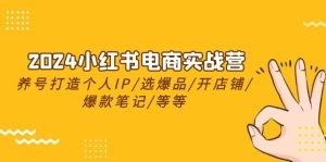 2024小红书电商实战营，养号打造IP/选爆品/开店铺/爆款笔记/等等（24节）-云资源库