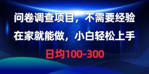 问卷调查项目，不需要经验，在家就能做，小白轻松上手，日均100-300-云资源库