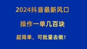 2024抖音最新风口！操作一单几百块！超简单，可批量去做！！！-云资源库