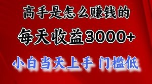 高手是怎么赚钱的，一天收益3000+ 这是穷人逆风翻盘的一个项目，非常稳…-云资源库