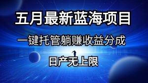 五月刚出最新蓝海项目一键托管 躺赚收益分成 日产无上限-云资源库