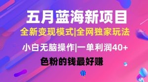 五月蓝海项目全新玩法，小白无脑操作，一天几分钟，矩阵操作，月入4万+-云资源库