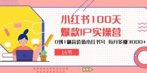 小红书100天-爆款IP实操营，0到1做高价值小红书号 每月多赚3000+（16节）-云资源库