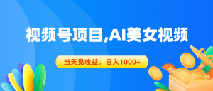 视频号蓝海项目,AI美女视频，当天见收益，日入1000+-云资源库