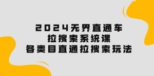 2024无界直通车·拉搜索系统课：各类目直通车 拉搜索玩法！-云资源库