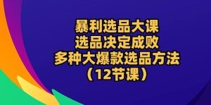 暴利 选品大课：选品决定成败，教你多种大爆款选品方法（12节课）-云资源库