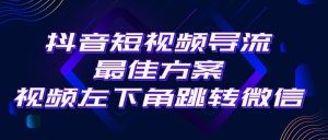 抖音短视频引流导流最佳方案，视频左下角跳转微信，外面500一单，利润200+-云资源库