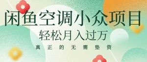 闲鱼卖空调小众项目 轻松月入过万 真正的无需垫资金-云资源库