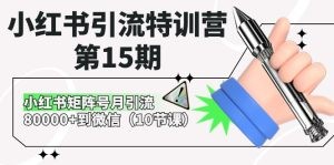 小红书引流特训营-第15期，小红书矩阵号月引流80000+到微信（10节课）-云资源库