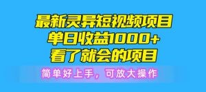 最新灵异短视频项目，单日收益1000+看了就会的项目，简单好上手可放大操作-云资源库