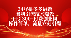 24年拼多多最新暴利引流技术曝光，日引300+付费创业粉，操作简单，流量…-云资源库