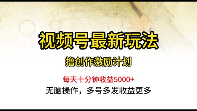 视频号最新玩法，每日一小时月入5000+-云资源库