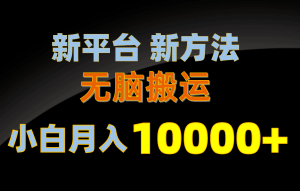 新平台新方法，无脑搬运，月赚10000+，小白轻松上手不动脑-云资源库