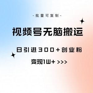 视频号无脑搬运日引300+创业粉，变现1W+可批量复制-云资源库