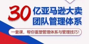 30亿 亚马逊 大卖团队管理体系，一套课，帮你重塑管理体系与管理技巧-云资源库