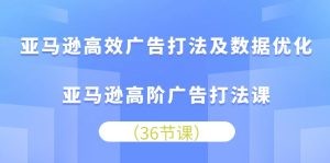 亚马逊高效广告打法及数据优化，亚马逊高阶广告打法课-云资源库