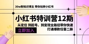 小红书特训营12期：从定位 到起号、到变现全路径带你快速打通爆款任督二脉-云资源库