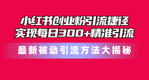 小红书创业粉引流捷径！最新被动引流方法大揭秘，实现每日300+精准引流-云资源库