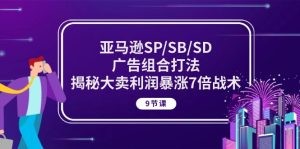 亚马逊SP/SB/SD广告组合打法，揭秘大卖利润暴涨7倍战术 (9节课)-云资源库