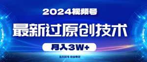 2024视频号最新过原创技术，当天起号，收益稳定，月入3W+-云资源库