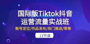 国际版Tiktok抖音运营流量实战班：账号定位/作品发布/热门推送/等等-13节-云资源库