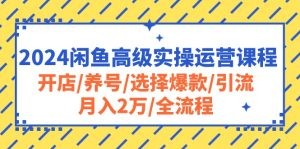 2024闲鱼高级实操运营课程：开店/养号/选择爆款/引流/月入2万/全流程-云资源库