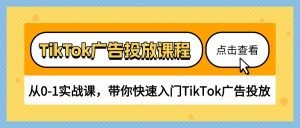 TikTok广告投放课程，从0-1实战课，带你快速入门TikTok广告投放（30节课）-云资源库