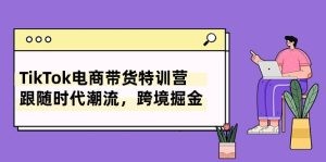 TikTok电商带货特训营，跟随时代潮流，跨境掘金（8节课）-云资源库