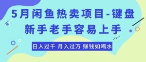 最新闲鱼热卖项目-键盘，新手老手容易上手，日入过千，月入过万，赚钱…-云资源库