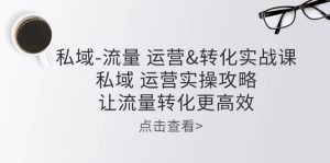 私域-流量 运营&转化实操课：私域 运营实操攻略 让流量转化更高效-云资源库