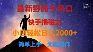 最新风口！快手撸磁力，野路子，小白无脑操作日入2000+-云资源库