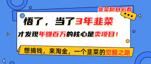 悟了，当了3年韭菜，才发现网赚圈年赚100万的核心是卖项目，含泪分享！-云资源库