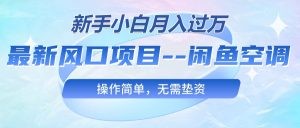 最新风口项目—闲鱼空调，新手小白月入过万，操作简单，无需垫资-云资源库