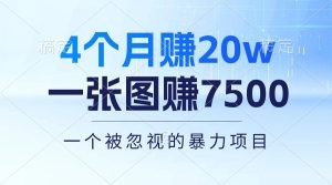 4个月赚20万！一张图赚7500！多种变现方式，一个被忽视的暴力项目-云资源库