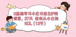 0基础学习小红书博主IP特训营，37天 教你从小白到KOL（13节）-云资源库