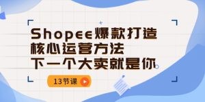 Shopee-爆款打造核心运营方法，下一个大卖就是你（13节课）-云资源库