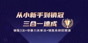 从小新手到销冠 三合一速成：销售3法+非暴力关单法+销售系统挖需课 (27节)-云资源库